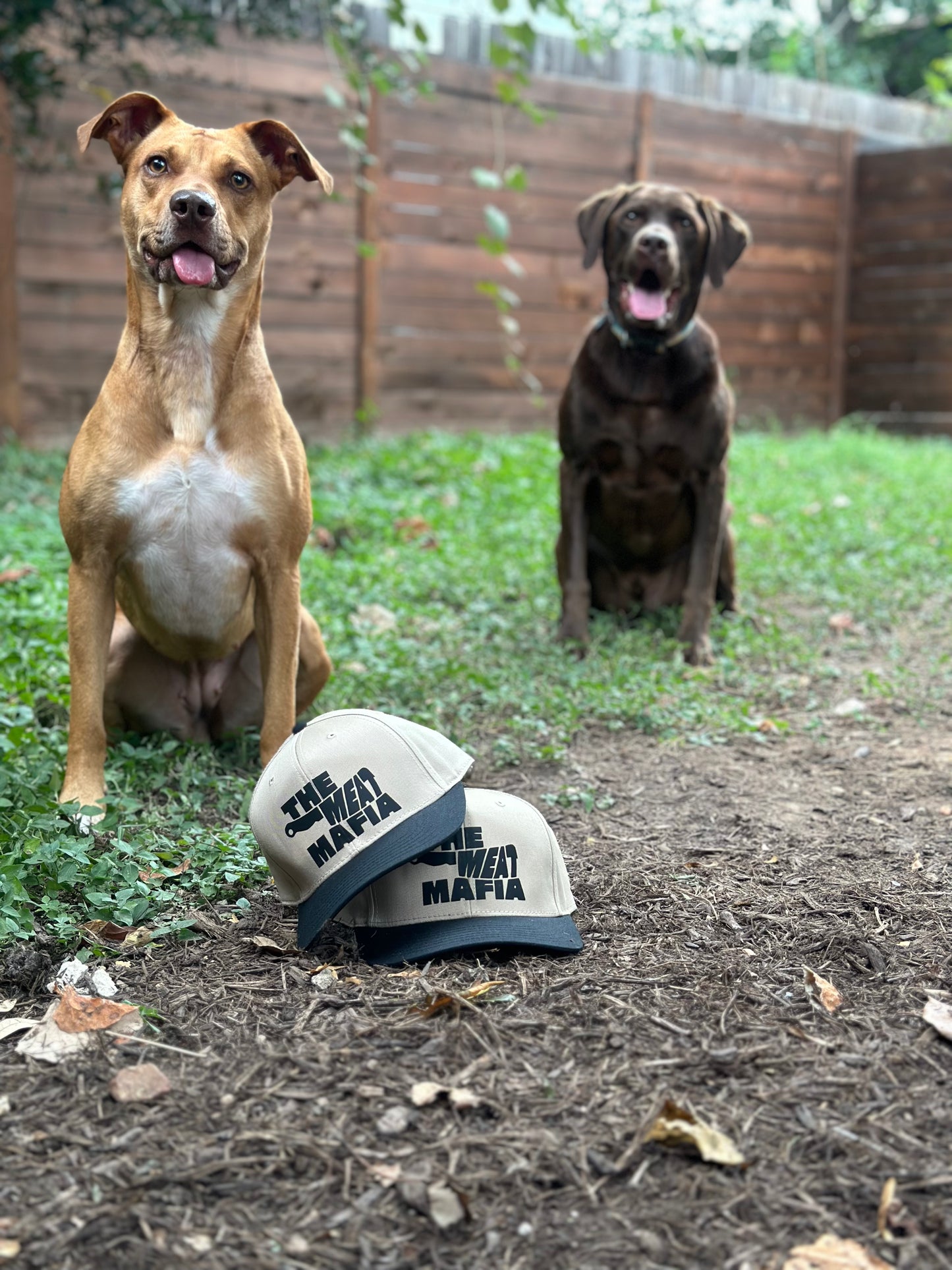 Made Man Hat | Tan & Black